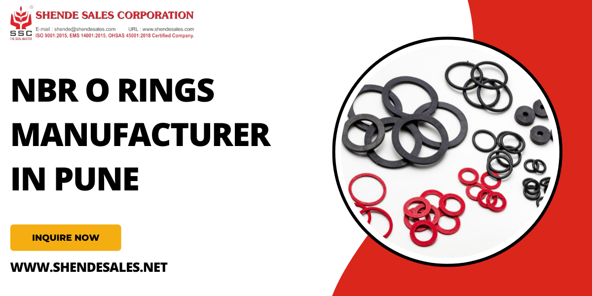 NBR O Rings Manufacturer in Pune