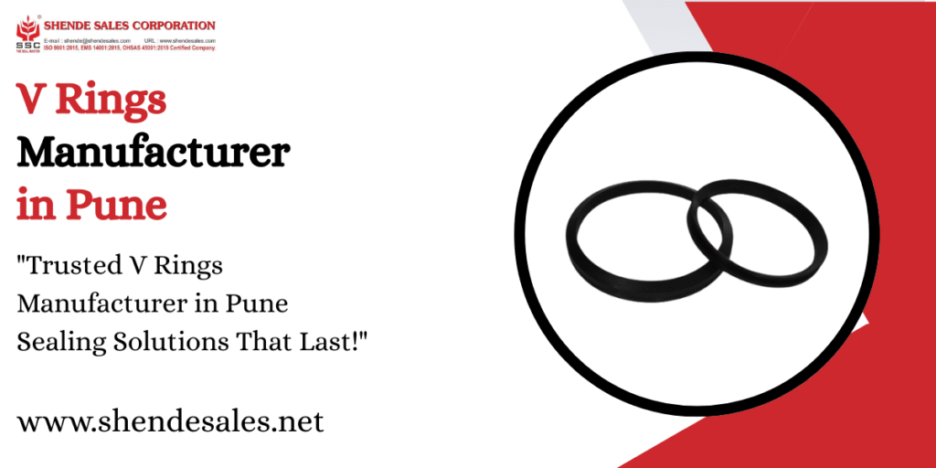 V Rings Manufacturer in Pune